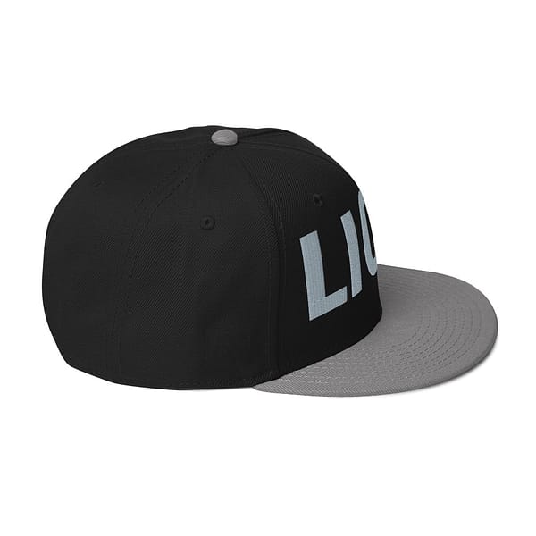 snapback-gray-black-black-right-side-67d2dbdf280d9.jpg LION ROAR (γ)