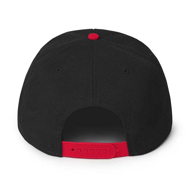 snapback-red-black-black-back-67d2dc3143e22.jpg LION ROAR (δ)