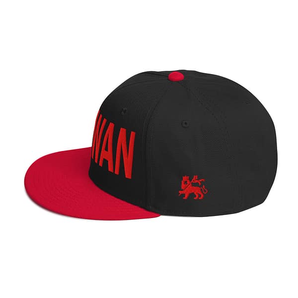 snapback-red-black-black-left-side-67d2d72290301.jpg WAGWAN (δ)