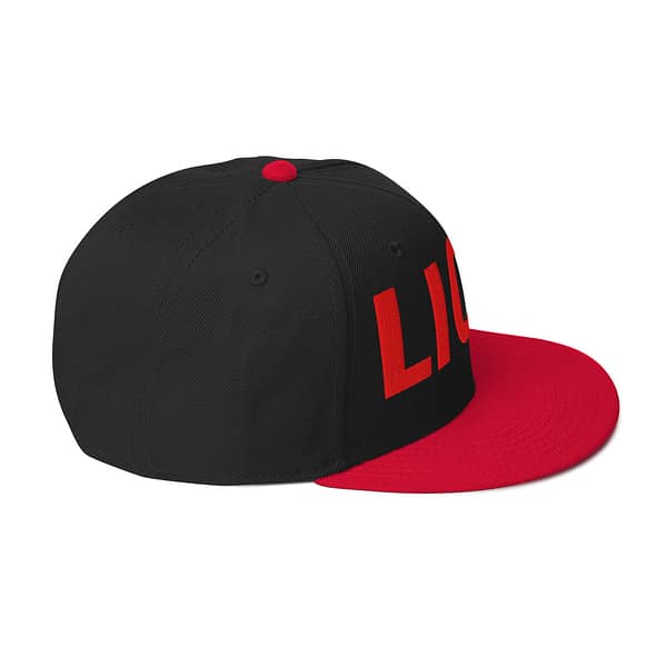 snapback-red-black-black-right-side-67d2dc3144194.jpg LION ROAR (δ)