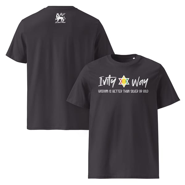unisex-organic-cotton-t-shirt-anthracite-front-and-back-67ea524c28be6.jpg IVITY WAY WISDOM classic tee (β)