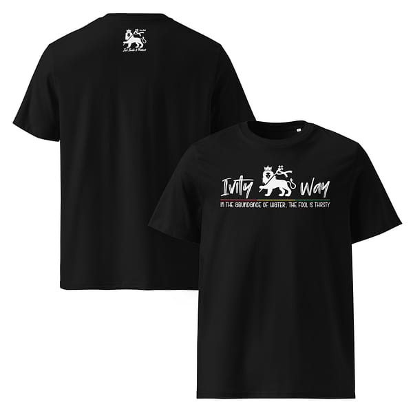 unisex-organic-cotton-t-shirt-black-front-and-back-67ea536bc2d04.jpg IVITY WAY classic tee (β)