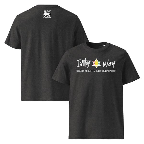 unisex-organic-cotton-t-shirt-dark-heather-grey-front-and-back-67ea524c22d11.jpg IVITY WAY WISDOM classic tee (β)