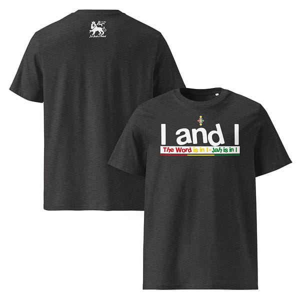 unisex-organic-cotton-t-shirt-dark-heather-grey-front-and-back-67ea5798afce3.jpg IANDI classic tee (β)