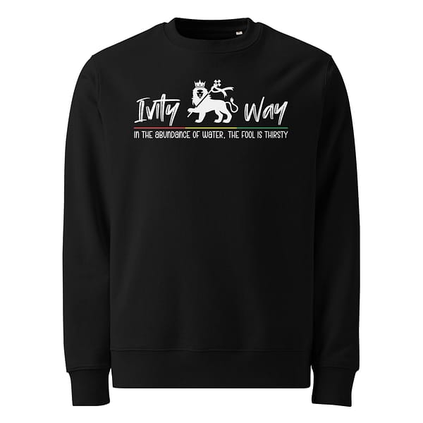 unisex-eco-sweatshirt-black-front-67eba6991b232.jpg IVITY WAY Sweatshirt (β)