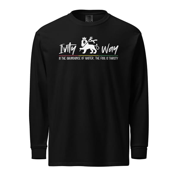 unisex-garment-dyed-heavyweight-long-sleeve-shirt-black-front-67eba3dfdd0b1.jpg IVITY WAY long-sleeve (β)