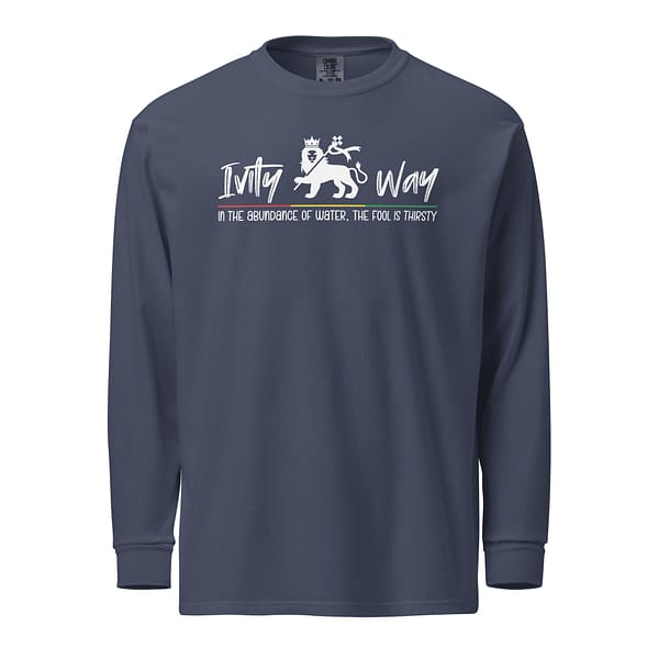 unisex-garment-dyed-heavyweight-long-sleeve-shirt-navy-front-67eba3dfdbdf7.jpg IVITY WAY long-sleeve (β)
