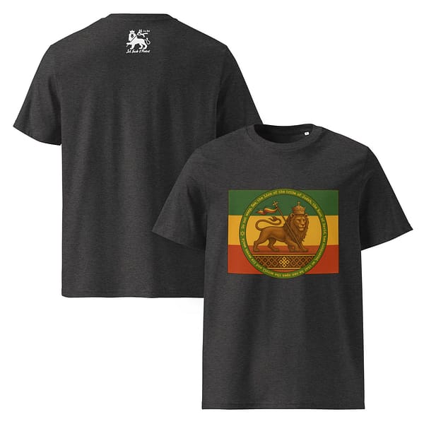 unisex-organic-cotton-t-shirt-dark-heather-grey-front-and-back-681b120ac5640.jpg CONQUERING LION classic tee (β)